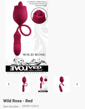 Load image into Gallery viewer, Wild Rose