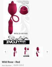 Load image into Gallery viewer, Wild Rose
